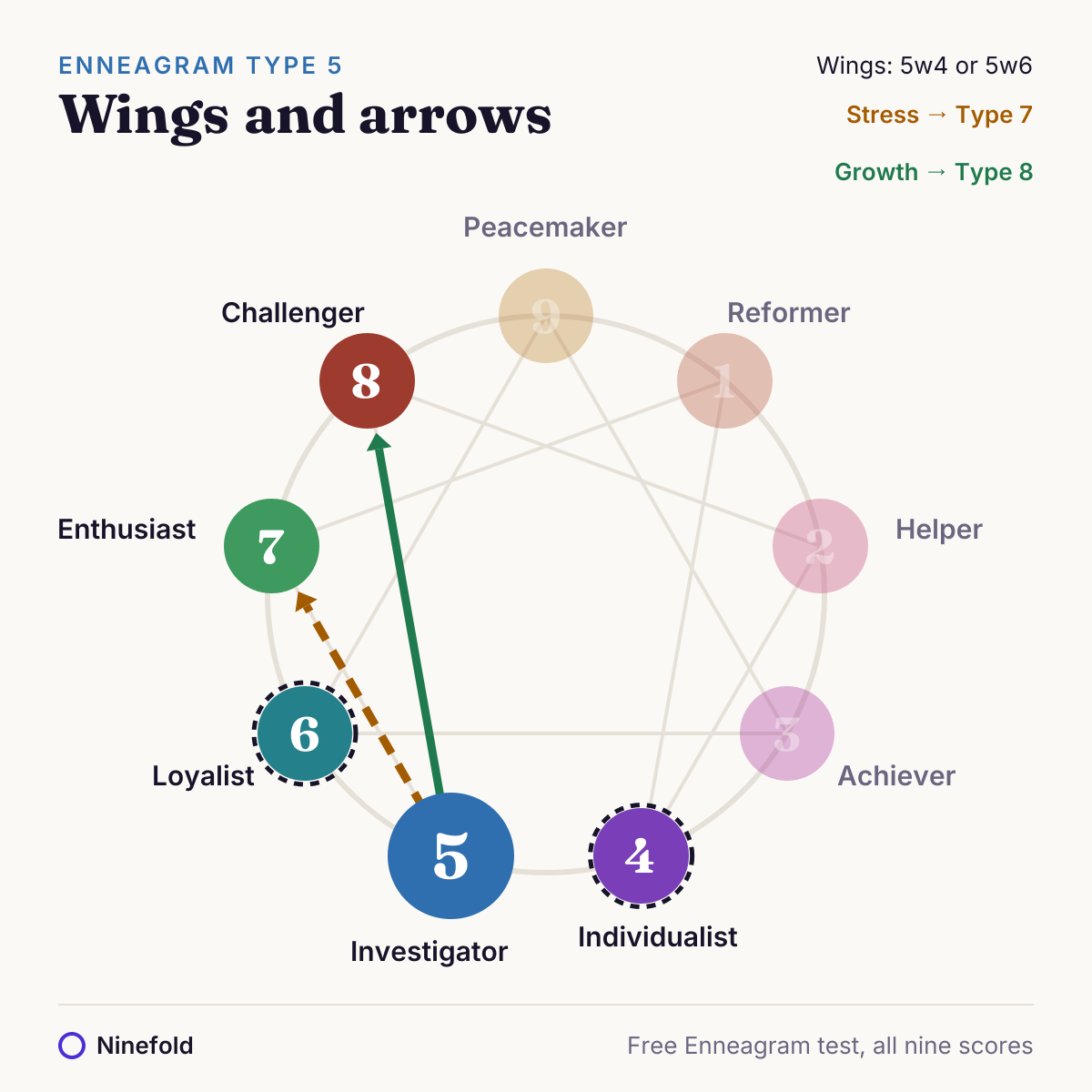 Enneagram diagram with Type 5 highlighted, its two wings and its stress and growth lines